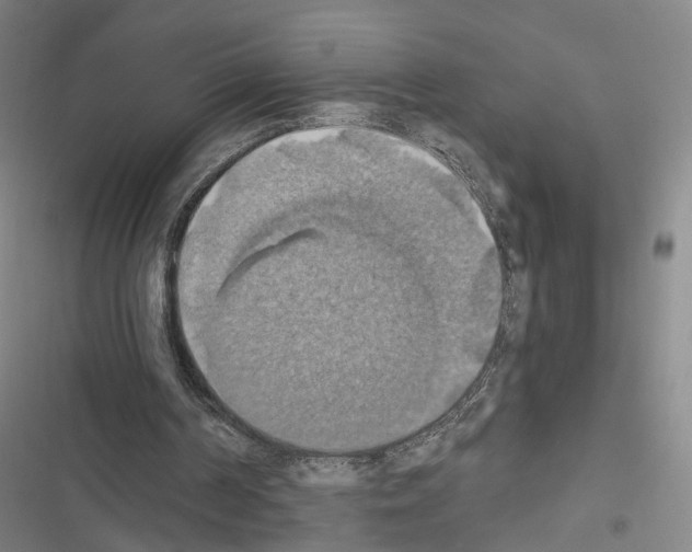 X0000116490194201001201410