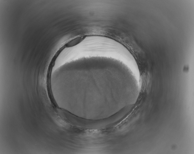 X0000116490195201001201410