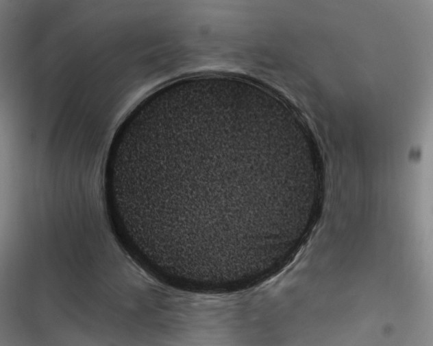 X0000116490196201001201410