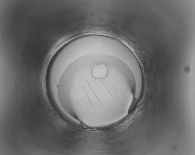 X0000116490199201001201410