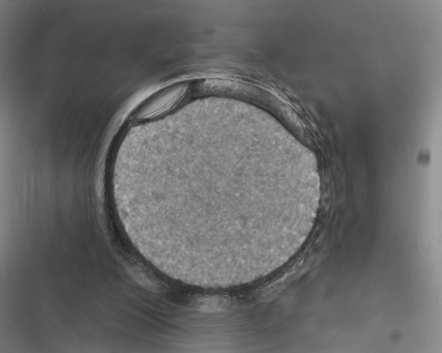 X0000116490200201001201410