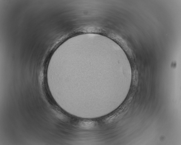 X0000116490202201001201410