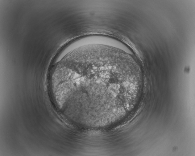 X0000116490203201001201410