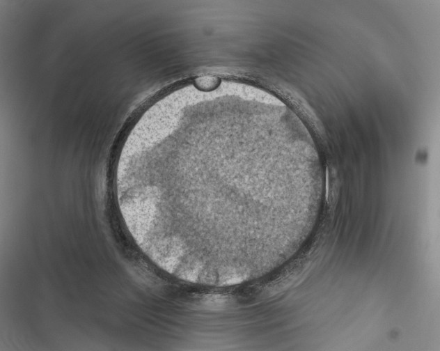 X0000116490204201001201410