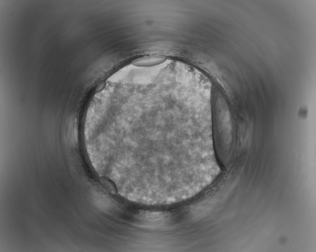 X0000116490205201001201410