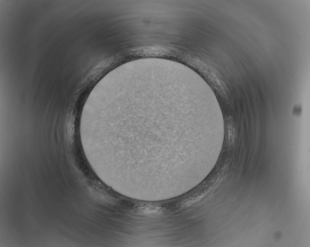 X0000116490206201001201410