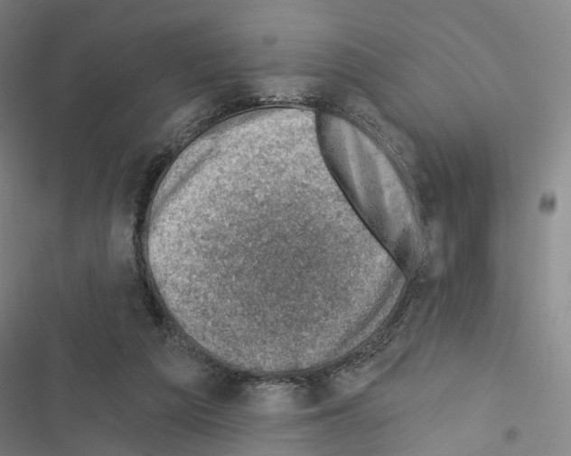 X0000116490209201001201410