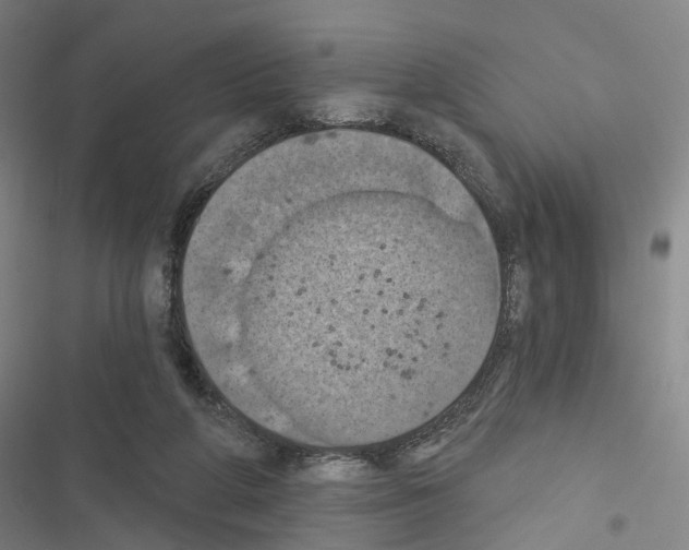 X0000116490210201001201410