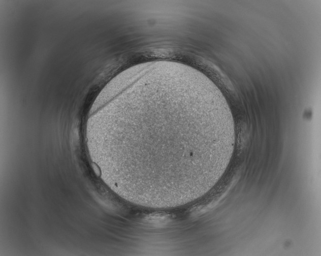 X0000116490213201001201410