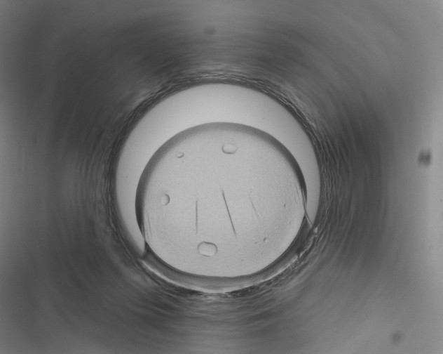 X0000116490215201001201410