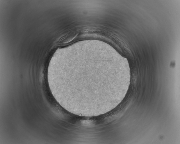 X0000116490216201001201410