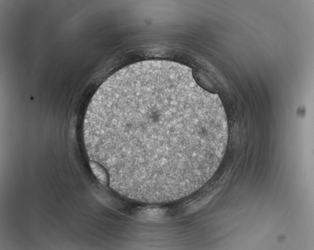 X0000116490217201001201410