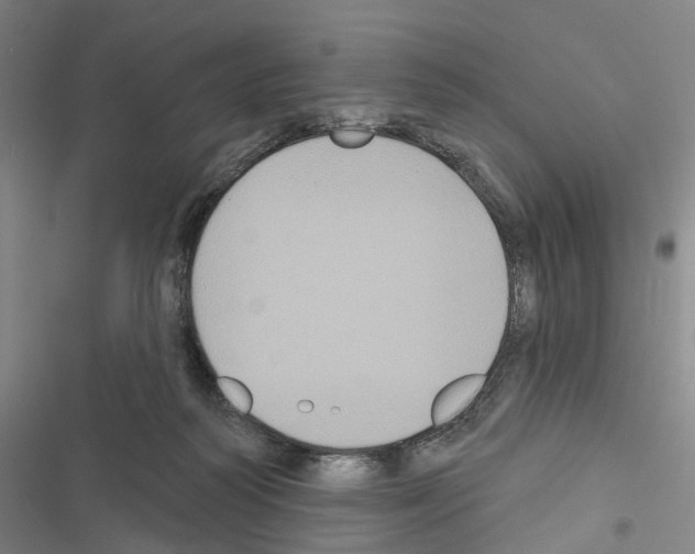 X0000116490218201001201410