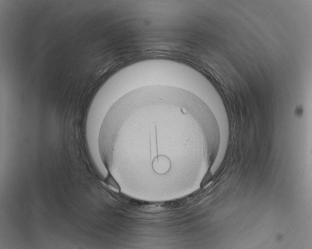 X0000116490219201001201410