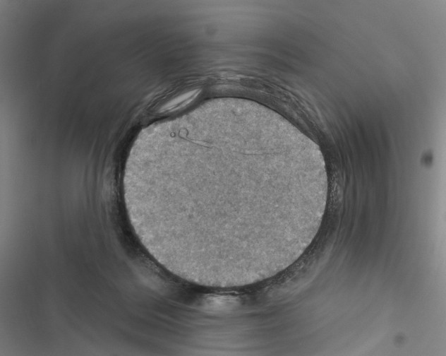 X0000116490220201001201410