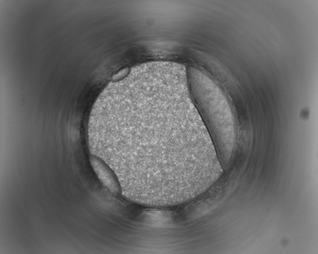 X0000116490221201001201410