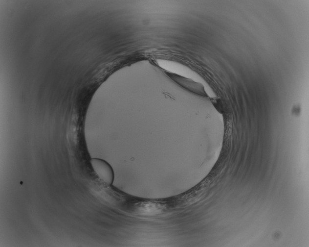 X0000116490223201001201410