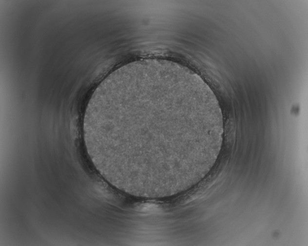 X0000116490224201001201410