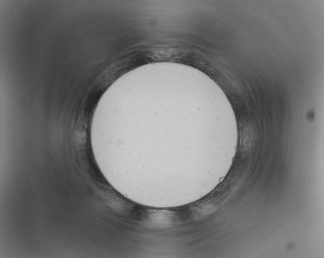 X0000116490226201001201410