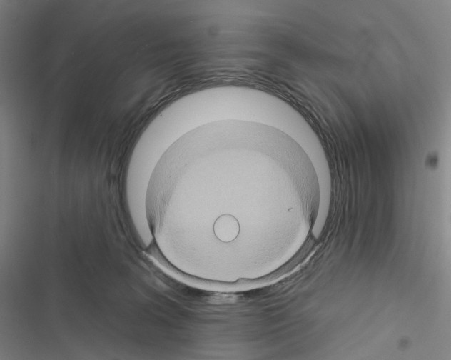 X0000116490227201001201410