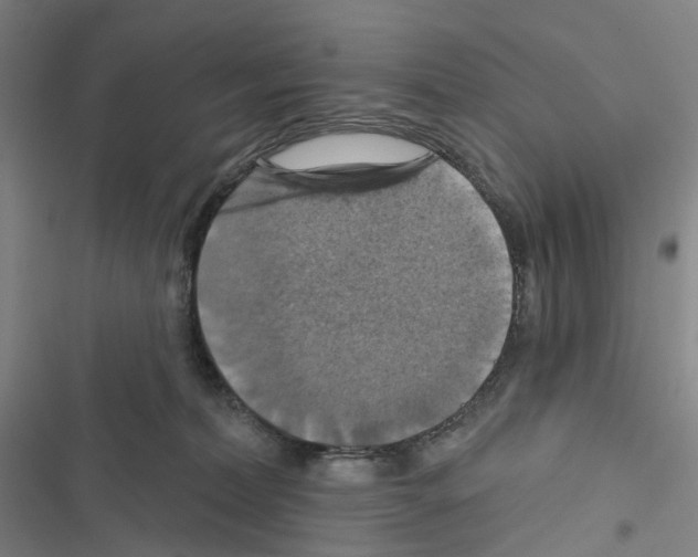 X0000116490228201001201410