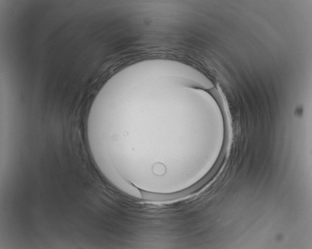 X0000116490229201001201410