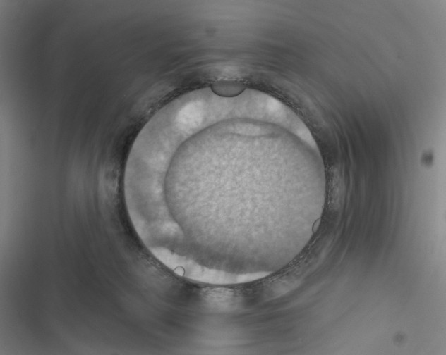 X0000116490230201001201410