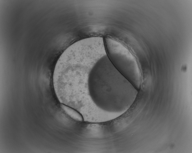 X0000116490231201001201410