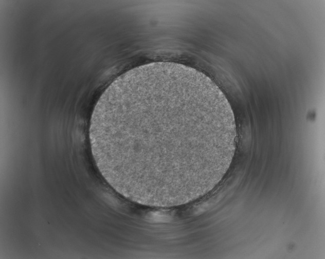 X0000116490232201001201410