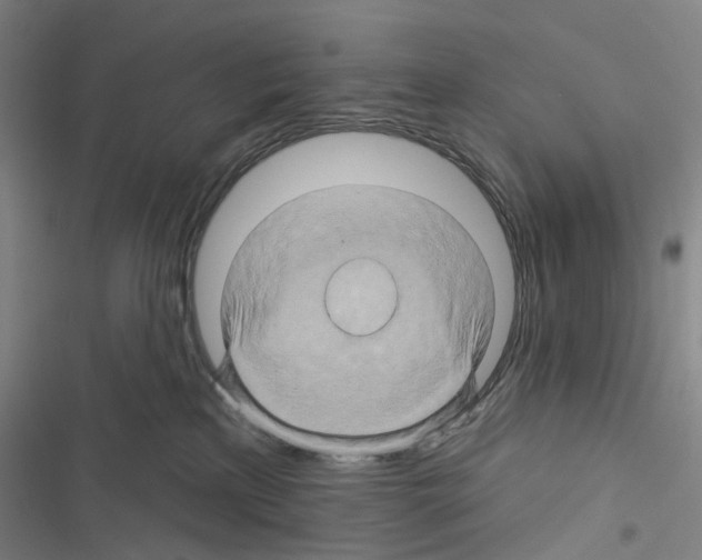 X0000116490233201001201410