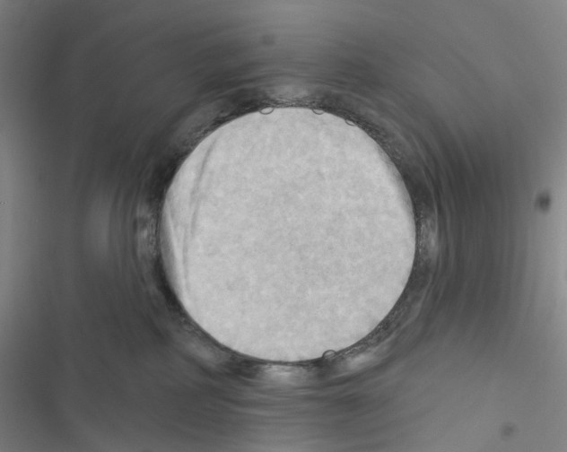 X0000116490234201001201410