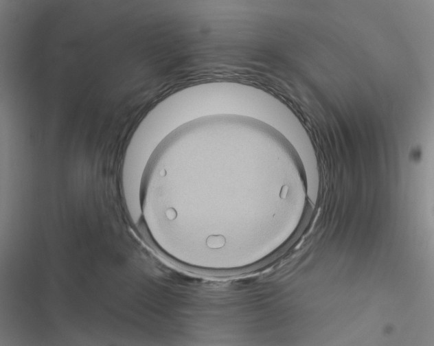 X0000116490235201001201410