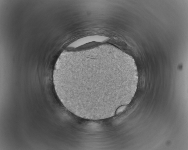 X0000116490236201001201410