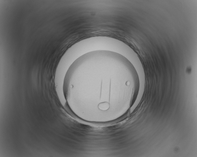 X0000116490237201001201410