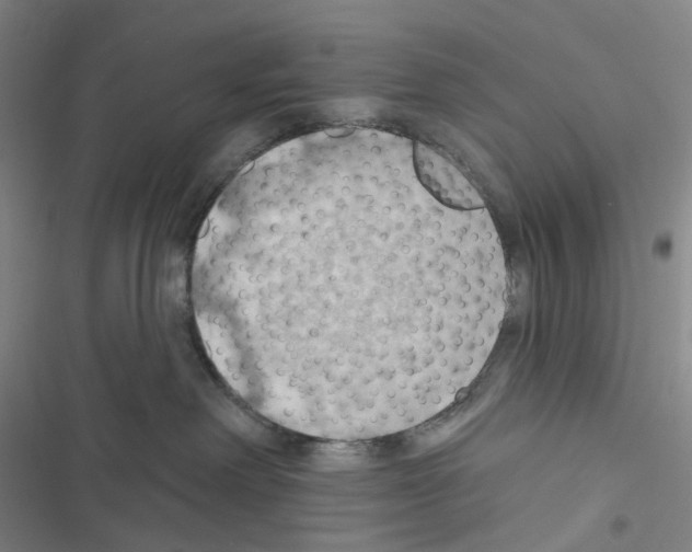 X0000116490238201001201410