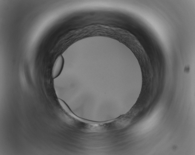 X0000116490239201001201410