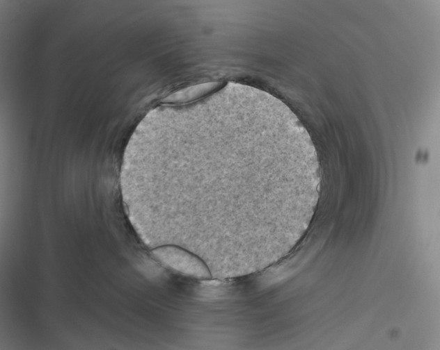 X0000116490240201001201410