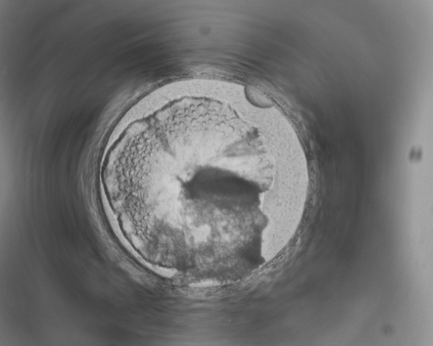 X0000116490241201001201409