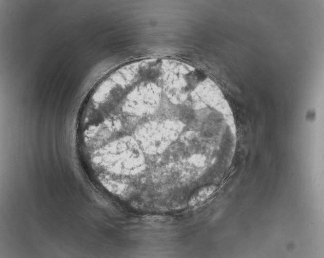 X0000116490242201001201409