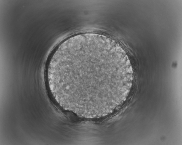 X0000116490244201001201409