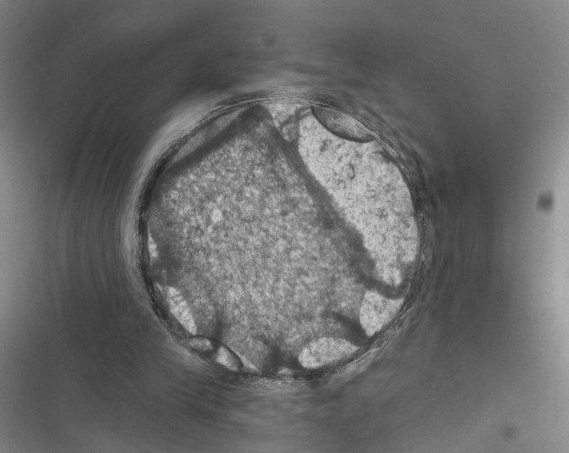 X0000116490245201001201409