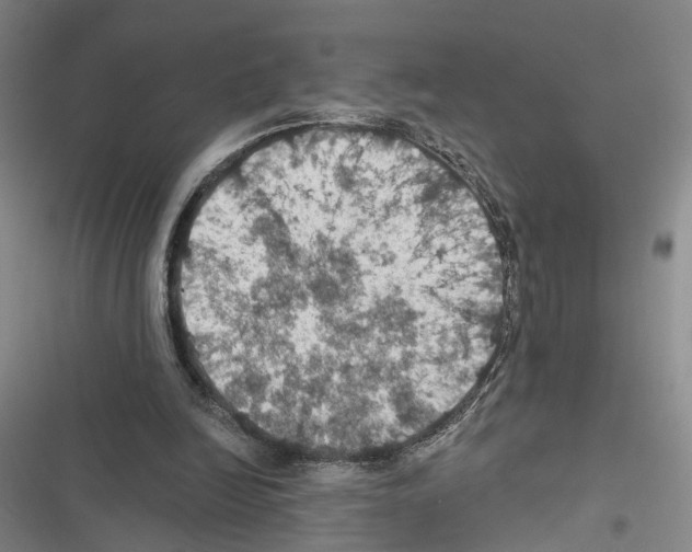 X0000116490246201001201409