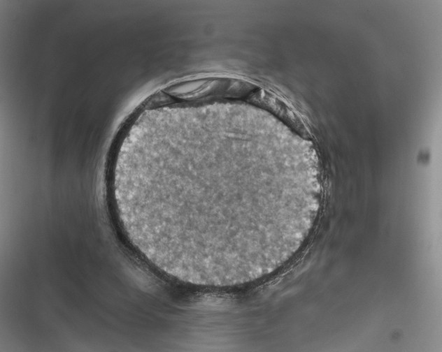 X0000116490248201001201409