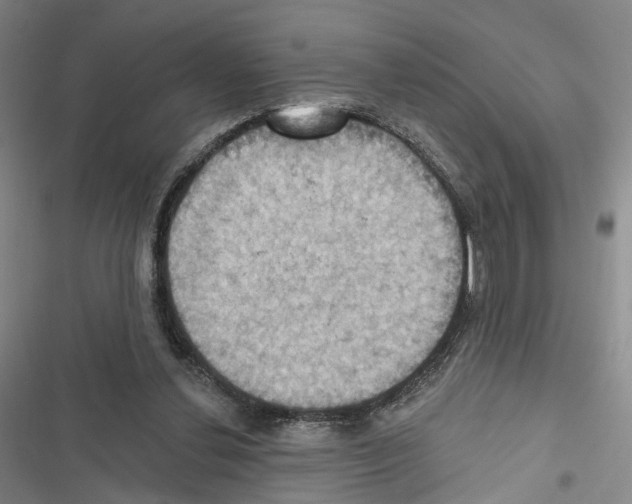 X0000116490252201001201409