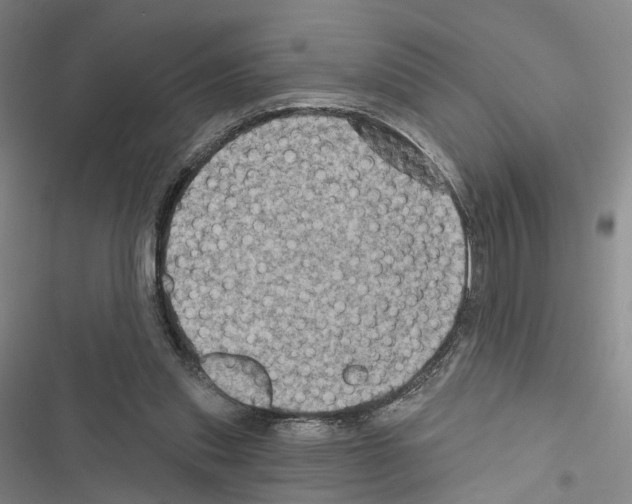 X0000116490253201001201409