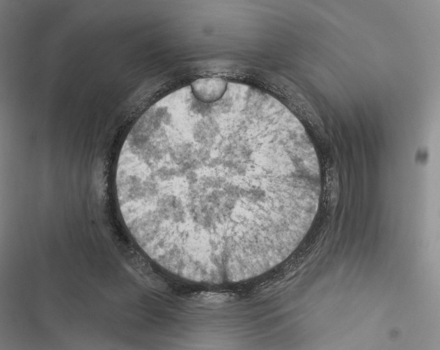 X0000116490255201001201409