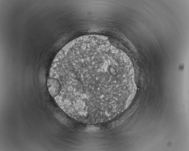 X0000116490257201001201409