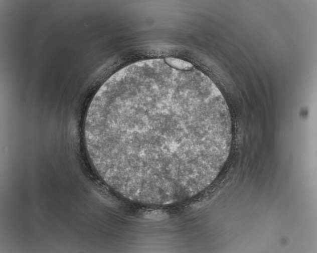 X0000116490258201001201409