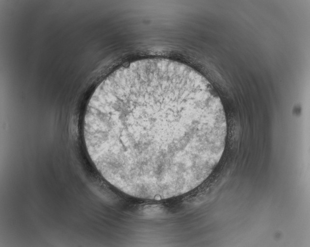 X0000116490262201001201409