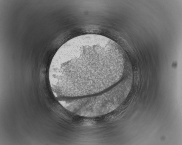 X0000116490263201001201409